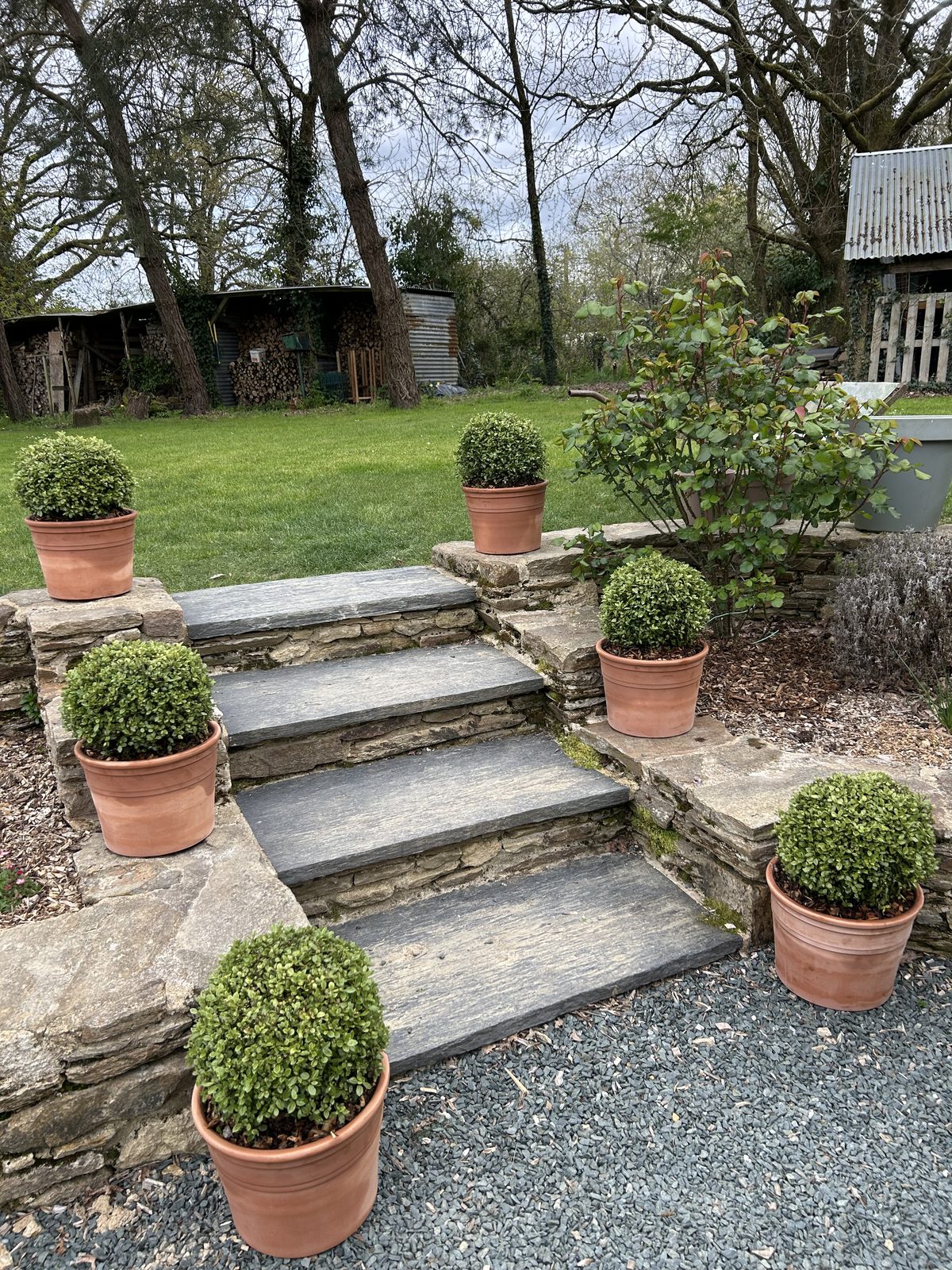 Allée bordée de buis taillés