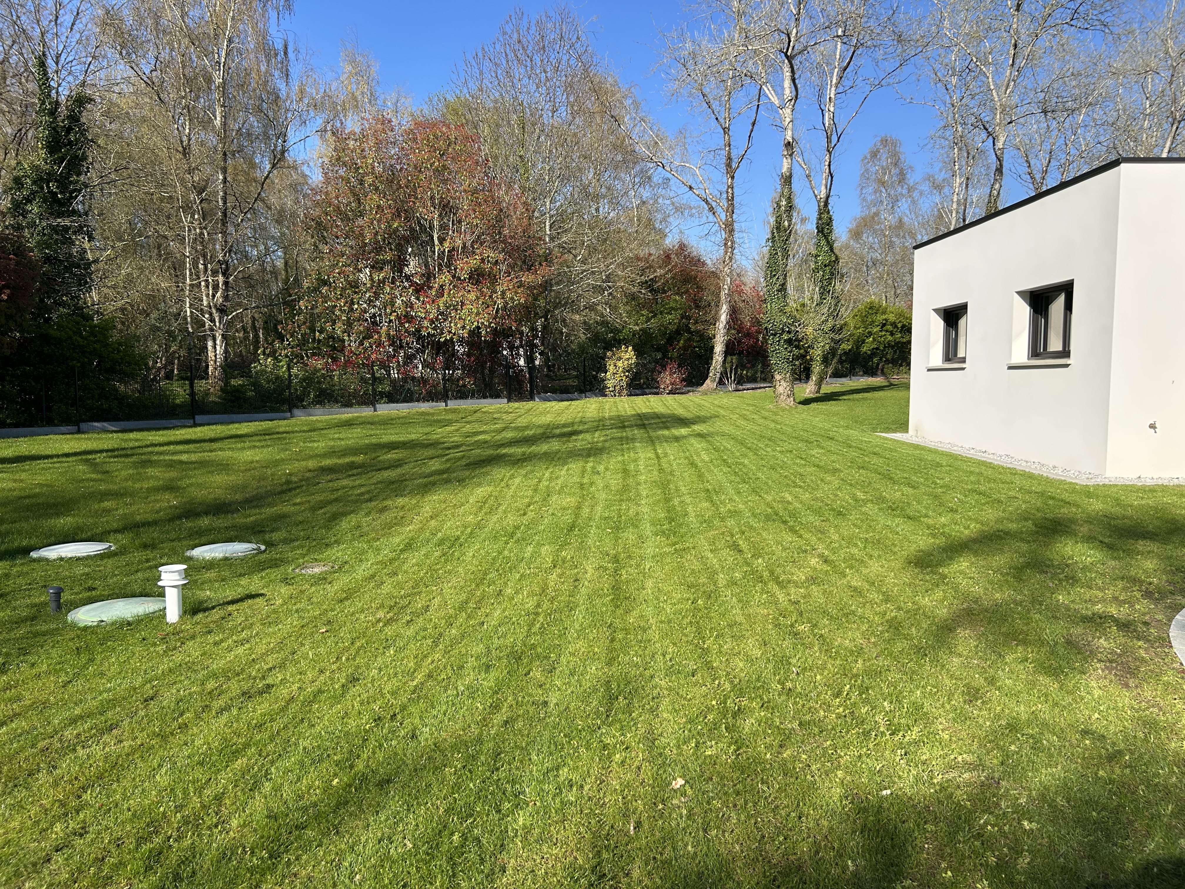 Massif contemporain avec buis en boule, graminées et graviers blancs