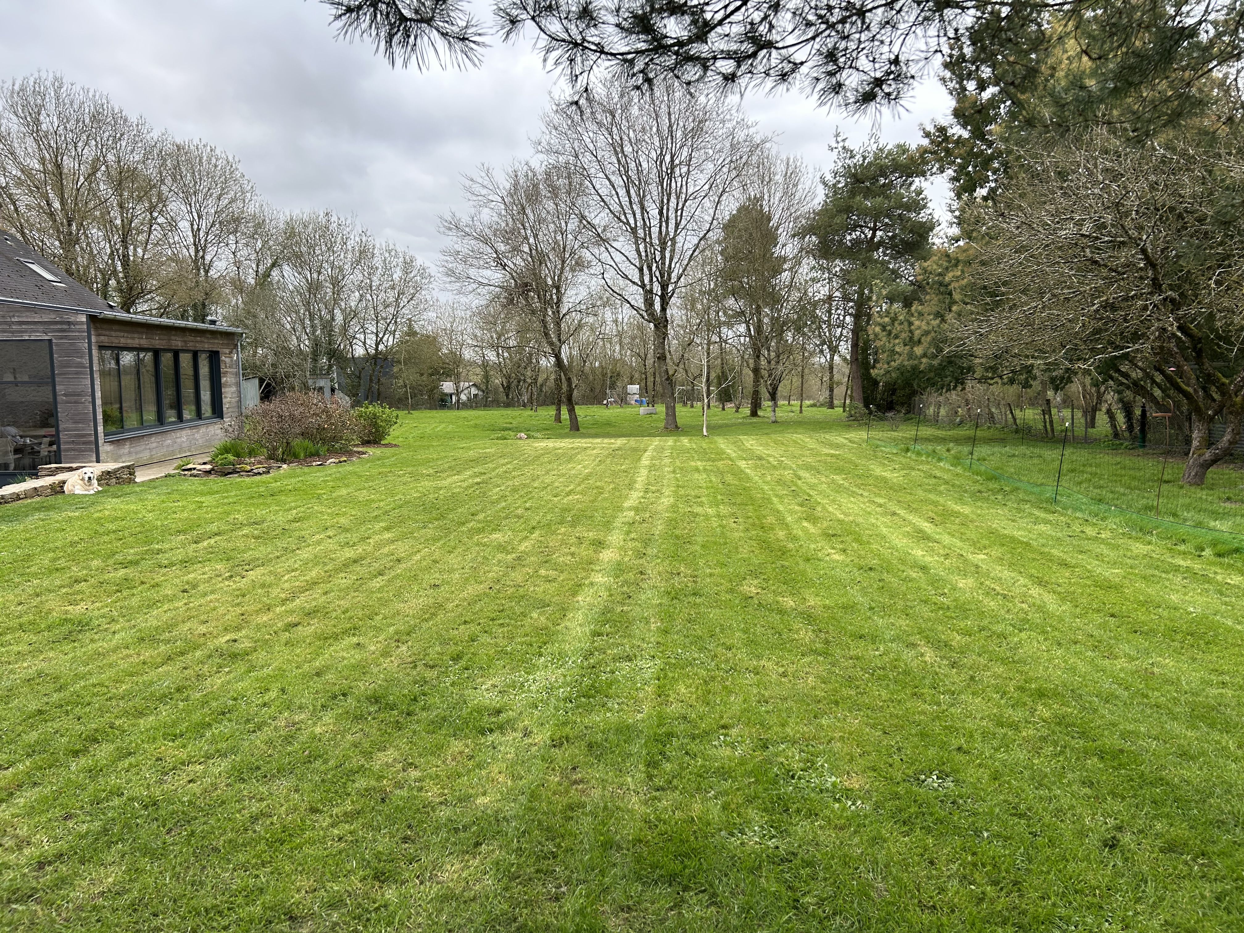 Grande pelouse tondue rayures avec maison bois moderne