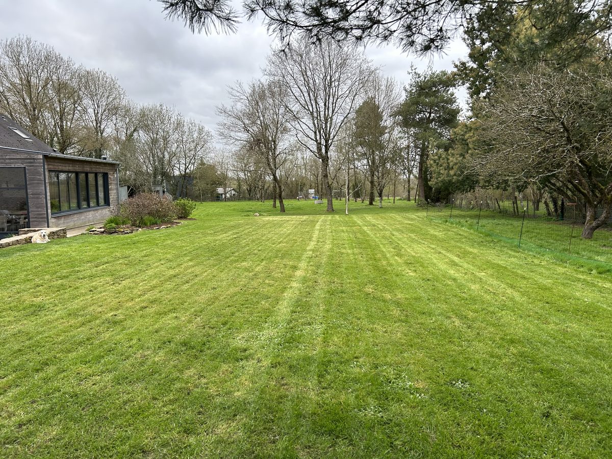 Pelouse tondue en bandes — Verdis Paysages